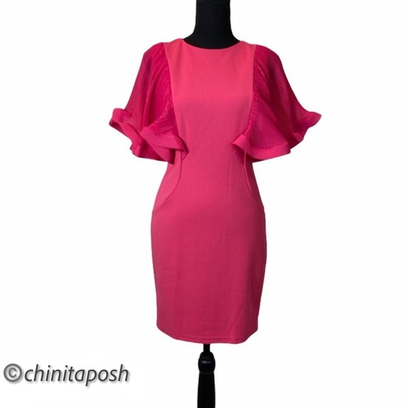 INA Fitter Mini Dress with Ruffle Sleeves - Picture 3 of 9